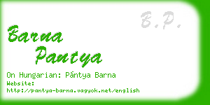 barna pantya business card