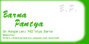 barna pantya business card